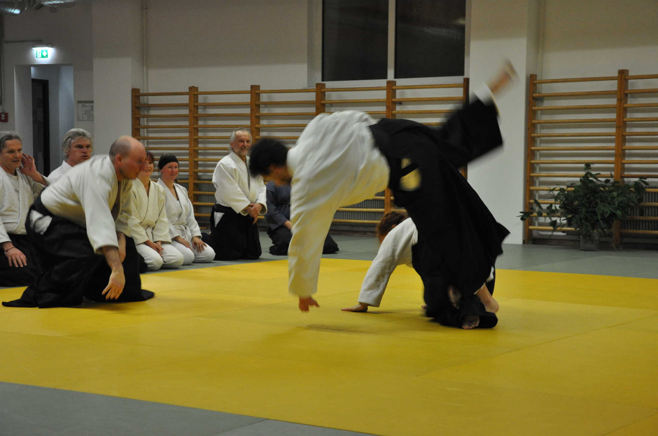 aikido graz 20191123 0377