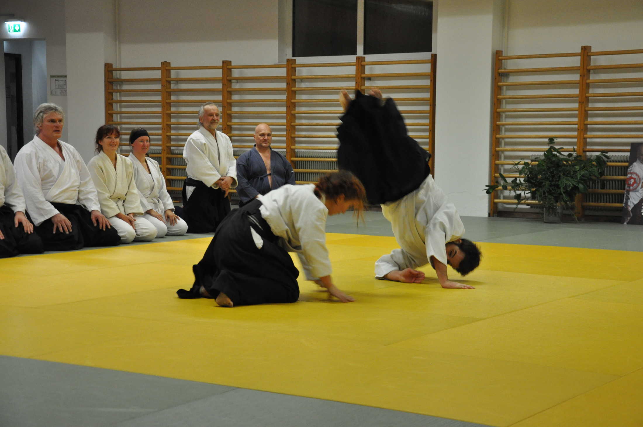 aikido graz 20191123 0379