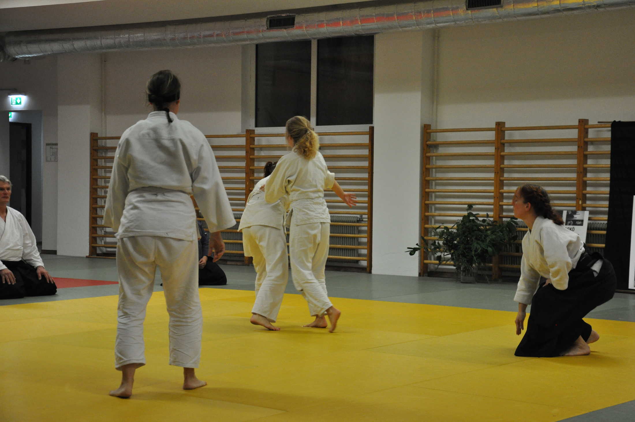 aikido graz 20191123 0351