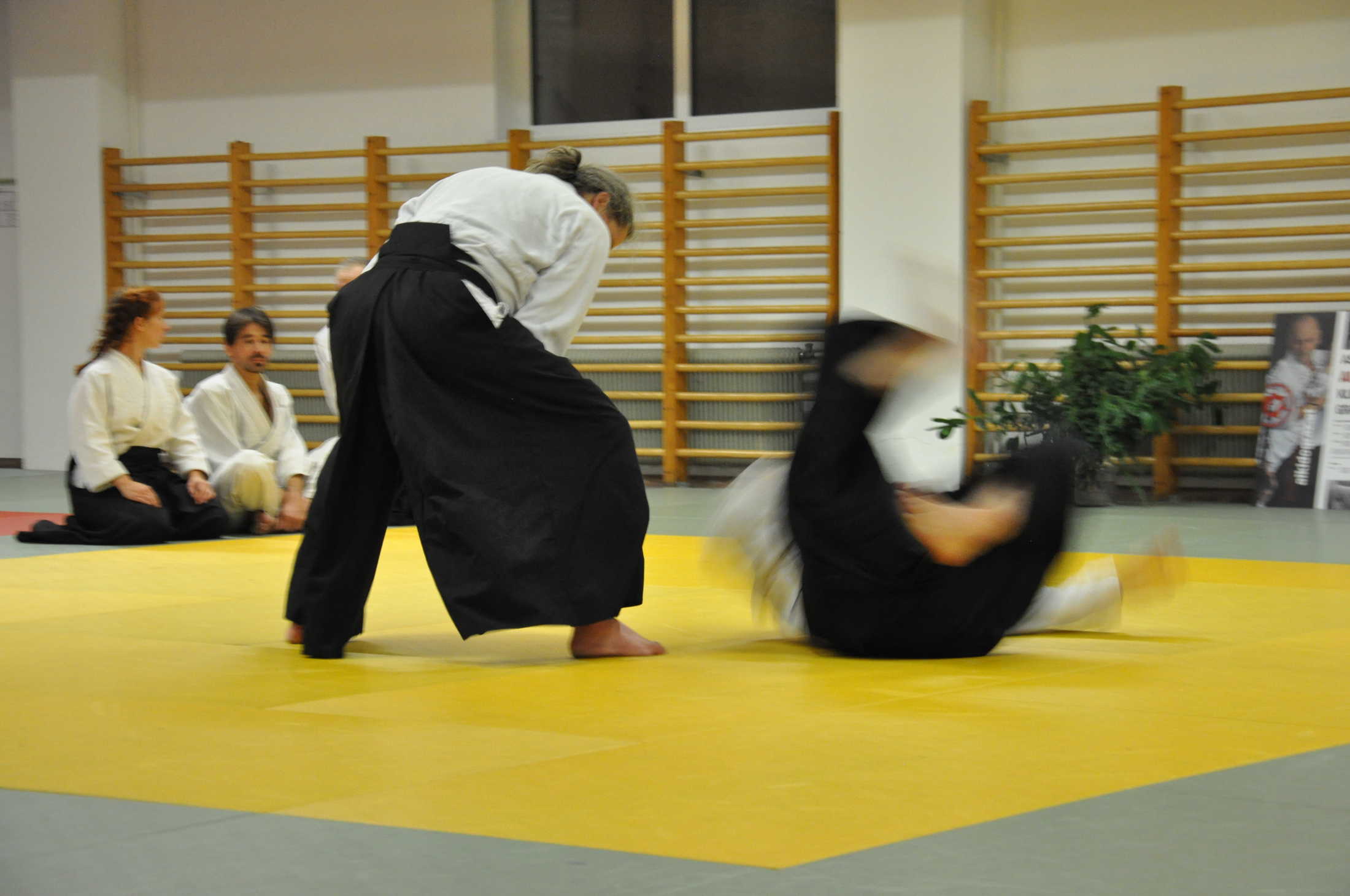 aikido graz 20191123 0310