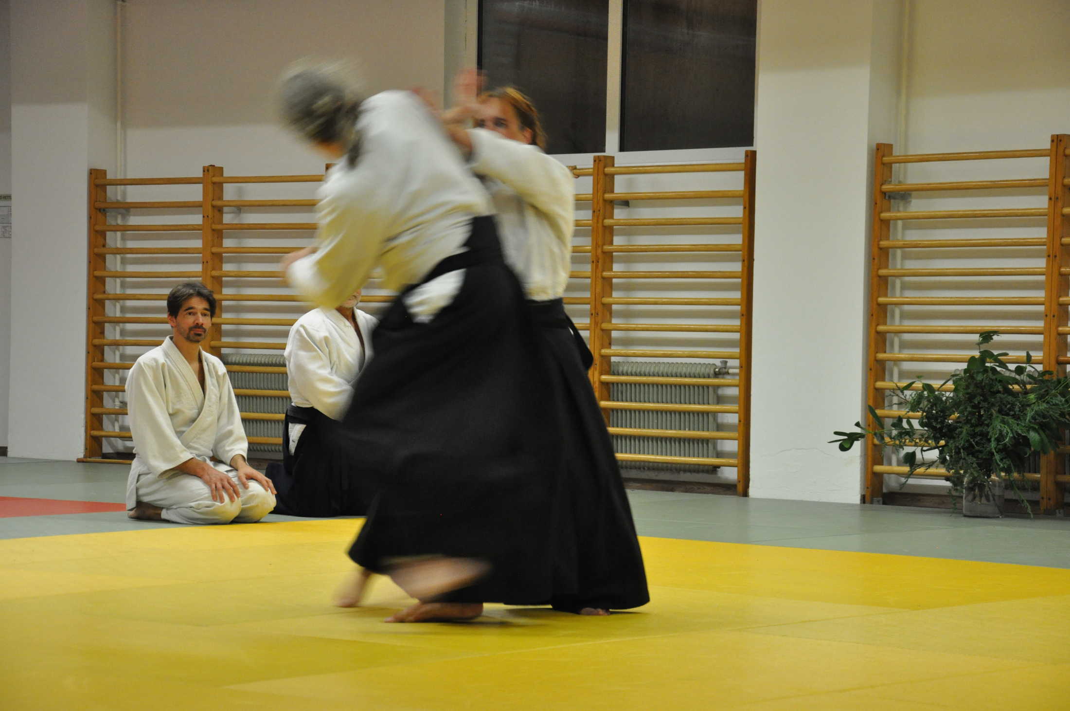 aikido graz 20191123 0291