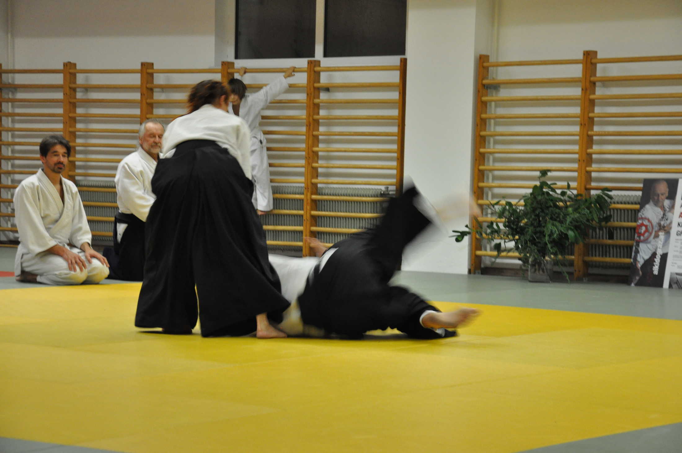 aikido graz 20191123 0292