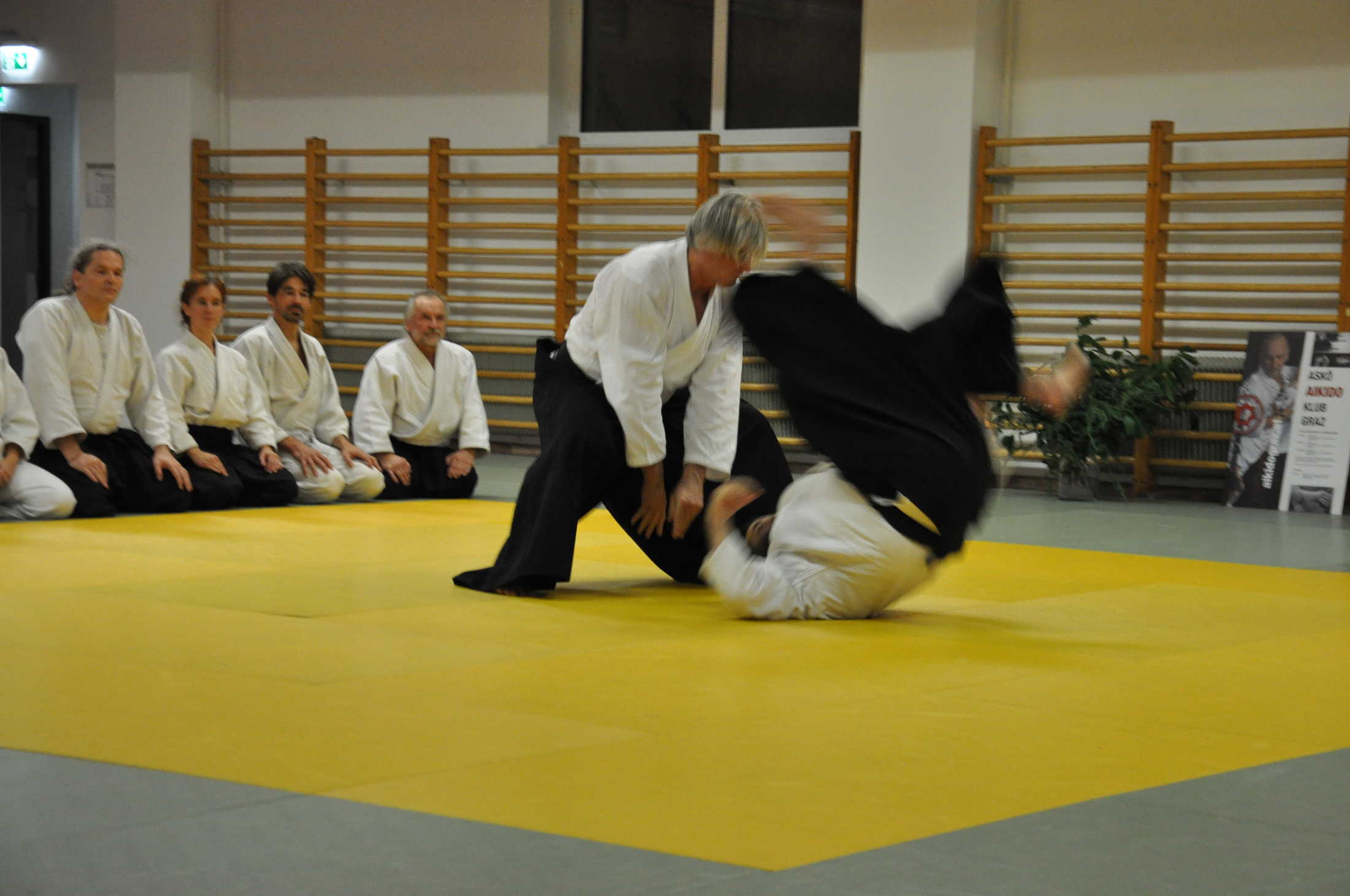 aikido graz 20191123 0224